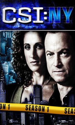 CSI: NY (2004)