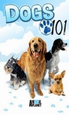 Dogs 101 (2008)