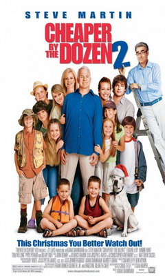 Cheaper by the Dozen 2 (2005)
