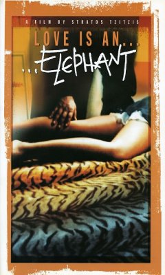 Love Is an Elephant (2000)