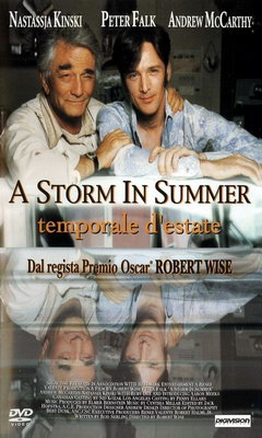 A Storm in Summer (2000)