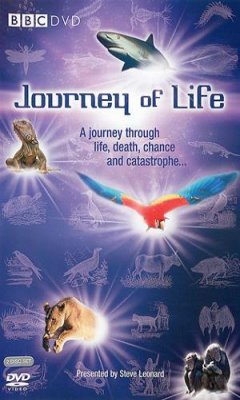 Journey of Life (2005)