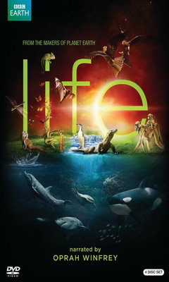 Life (2009)