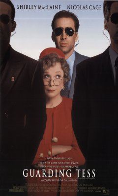 Ο Φρουρός της Τες (1994)
