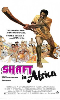 Shaft in Africa