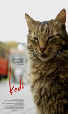 Οι Γάτες της Κωνσταντινούπολης (2016)