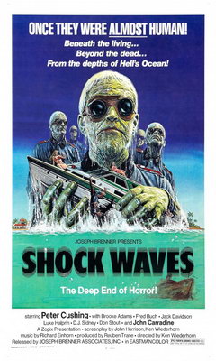 Shock Waves