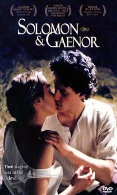 Solomon & Gaenor (1999)