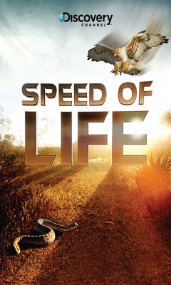 Speed of Life (2010)