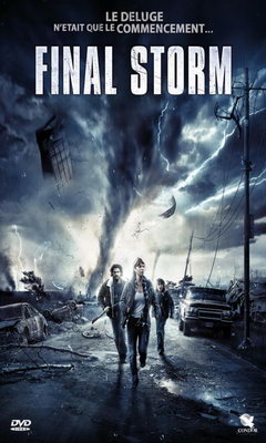The Final Storm (2010)