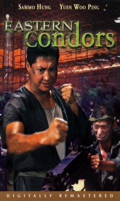 Eastern Condors (1987)