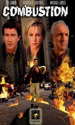 Combustion (2004)